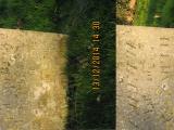 image of grave number 525453